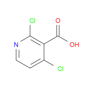 2,4-DICHLOROPYRIDINE-3-CARBOXYLIC ACID