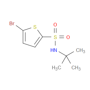 5-BROMO-N-TERT-BUTYL-2-THIOPHENESULFONAMIDE
