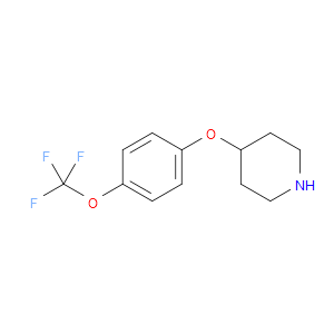 4-[4-(TRIFLUOROMETHOXY)PHENOXY]PIPERIDINE