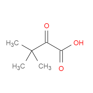 3,3-DIMETHYL-2-OXOBUTANOIC ACID