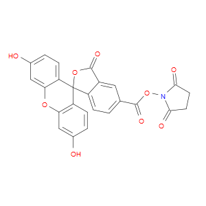 5-CARBOXYFLUORESCEIN N-SUCCINIMIDYL ESTER - Click Image to Close