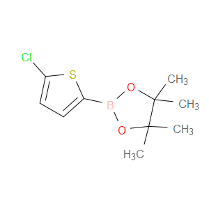 2-(5-CHLOROTHIOPHEN-2-YL)-4,4,5,5-TETRAMETHYL-1,3,2-DIOXABOROLANE