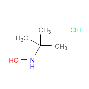 N-(TERT-BUTYL)HYDROXYLAMINE HYDROCHLORIDE - Click Image to Close