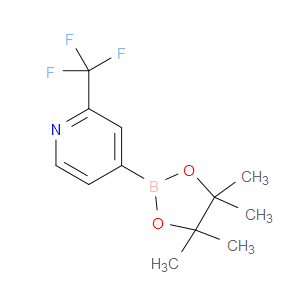 4-(4,4,5,5-TETRAMETHYL-1,3,2-DIOXABOROLAN-2-YL)-2-(TRIFLUOROMETHYL)PYRIDINE - Click Image to Close
