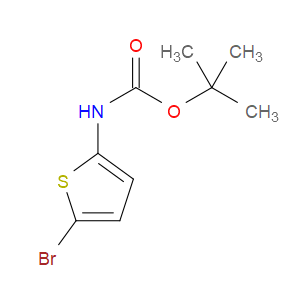 TERT-BUTYL (5-BROMOTHIOPHEN-2-YL)CARBAMATE