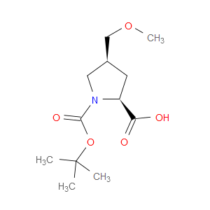 (2S,4S)-1-(TERT-BUTOXYCARBONYL)-4-(METHOXYMETHYL)PYRROLIDINE-2-CARBOXYLIC ACID - Click Image to Close