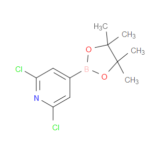 2,6-DICHLORO-4-(4,4,5,5-TETRAMETHYL-1,3,2-DIOXABOROLAN-2-YL)PYRIDINE - Click Image to Close