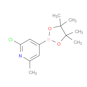 2-CHLORO-6-METHYL-4-(4,4,5,5-TETRAMETHYL-1,3,2-DIOXABOROLAN-2-YL)PYRIDINE - Click Image to Close