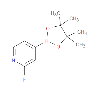 2-FLUOROPYRIDINE-4-BORONIC ACID PINACOL ESTER