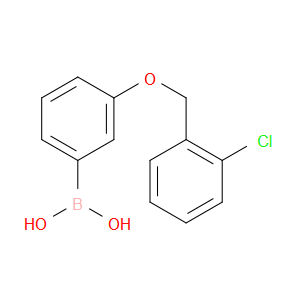 3-(2'-CHLOROBENZYLOXY)PHENYLBORONIC ACID - Click Image to Close