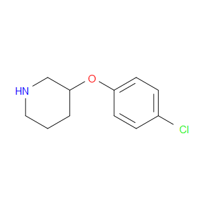 3-(4-CHLOROPHENOXY)PIPERIDINE - Click Image to Close