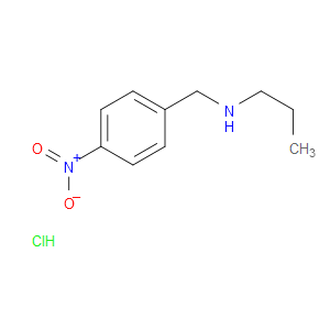 N-4-NITROBENZYL-N-PROPYLAMINE HYDROCHLORIDE - Click Image to Close