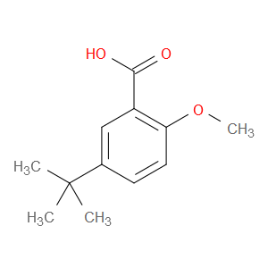 5-TERT-BUTYL-2-METHOXYBENZOIC ACID