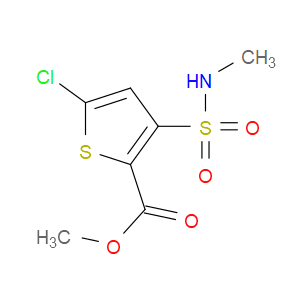 METHYL 5-CHLORO-3-(N-METHYLSULFAMOYL)THIOPHENE-2-CARBOXYLATE