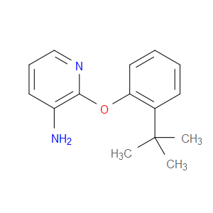 2-(2-TERT-BUTYLPHENOXY)PYRIDIN-3-AMINE