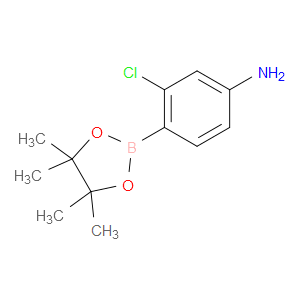 3-CHLORO-4-(4,4,5,5-TETRAMETHYL-1,3,2-DIOXABOROLAN-2-YL)ANILINE