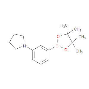 1-[3-(4,4,5,5-TETRAMETHYL-1,3,2-DIOXABOROLAN-2-YL)PHENYL]PYRROLIDINE - Click Image to Close