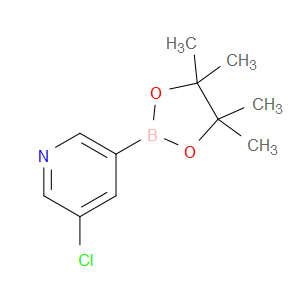 5-CHLOROPYRIDINE-3-BORONIC ACID PINACOL ESTER