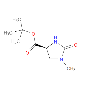 (S)-TERT-BUTYL 1-METHYL-2-OXOIMIDAZOLIDINE-4-CARBOXYLATE