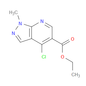 ETHYL 4-CHLORO-1-METHYL-1H-PYRAZOLO[3,4-B]PYRIDINE-5-CARBOXYLATE