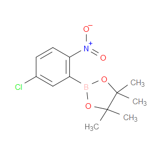 2-(5-CHLORO-2-NITROPHENYL)-4,4,5,5-TETRAMETHYL-1,3,2-DIOXABOROLANE