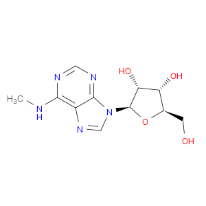 N6-METHYLADENOSINE