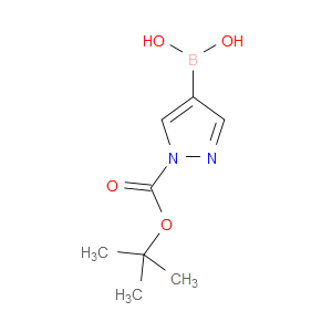 1-TERT-BUTOXYCARBONYL-1H-PYRAZOLE-4-BORONIC ACID - Click Image to Close