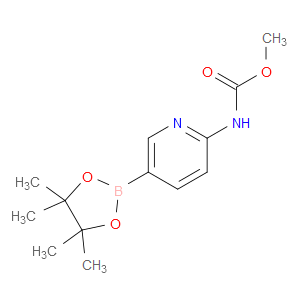 2-METHOXYCARBONYLAMINOPYRIDINE-5-BORONIC ACID, PINACOL ESTER - Click Image to Close