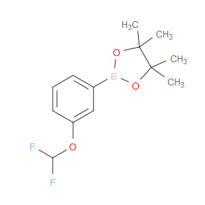 2-(3-(DIFLUOROMETHOXY)PHENYL)-4,4,5,5-TETRAMETHYL-1,3,2-DIOXABOROLANE