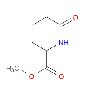METHYL 6-OXOPIPERIDINE-2-CARBOXYLATE