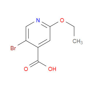 5-BROMO-2-ETHOXYISONICOTINIC ACID - Click Image to Close