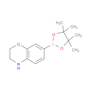 7-(4,4,5,5-TETRAMETHYL-1,3,2-DIOXABOROLAN-2-YL)-3,4-DIHYDRO-2H-BENZO[B][1,4]OXAZINE