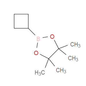 2-CYCLOBUTYL-4,4,5,5-TETRAMETHYL-1,3,2-DIOXABOROLANE - Click Image to Close
