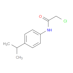 2-CHLORO-N-(4-ISOPROPYLPHENYL)ACETAMIDE - Click Image to Close