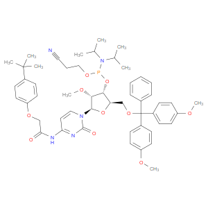 DMT-2'O-METHYL-RC(TAC) PHOSPHORAMIDITE