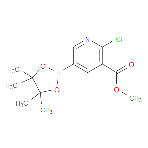METHYL 2-CHLORO-5-(4,4,5,5-TETRAMETHYL-1,3,2-DIOXABOROLAN-2-YL)NICOTINATE
