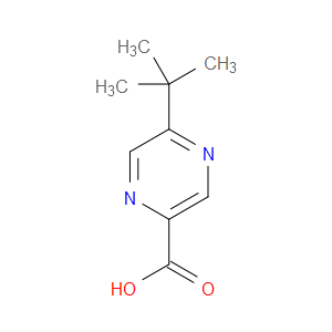 5-(TERT-BUTYL)PYRAZINE-2-CARBOXYLIC ACID