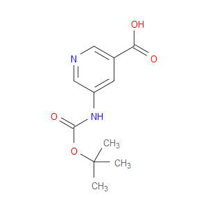 5-((TERT-BUTOXYCARBONYL)AMINO)NICOTINIC ACID