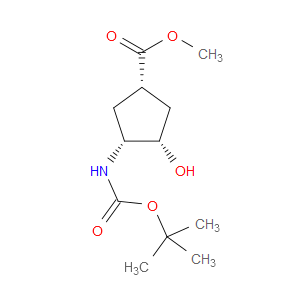 (1R,2S,4S)-N-BOC-1-AMINO-2-HYDROXYCYCLOPENTANE-4-CARBOXYLIC ACID METHYL ESTER - Click Image to Close