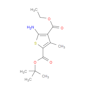 2-TERT-BUTYL 4-ETHYL 5-AMINO-3-METHYLTHIOPHENE-2,4-DICARBOXYLATE - Click Image to Close