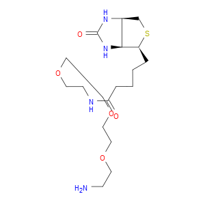 N-BIOTINYL-3,6,9-TRIOXAUNDECANE-1,11-DIAMINE