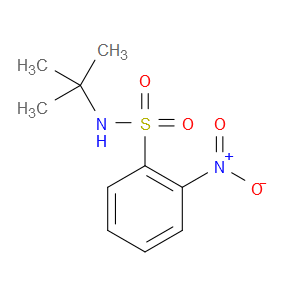 N-TERT-BUTYL-2-NITROBENZENESULFONAMIDE