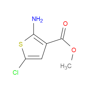 METHYL 2-AMINO-5-CHLOROTHIOPHENE-3-CARBOXYLATE