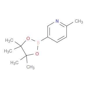 2-METHYL-5-(4,4,5,5-TETRAMETHYL-1,3,2-DIOXABOROLAN-2-YL)PYRIDINE