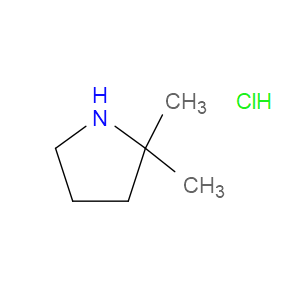 2,2-DIMETHYLPYRROLIDINE HYDROCHLORIDE