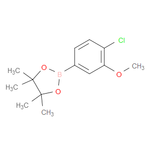 2-(4-CHLORO-3-METHOXYPHENYL)-4,4,5,5-TETRAMETHYL-1,3,2-DIOXABOROLANE - Click Image to Close