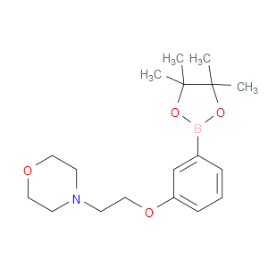 4-(2-(3-(4,4,5,5-TETRAMETHYL-1,3,2-DIOXABOROLAN-2-YL)PHENOXY)ETHYL)MORPHOLINE - Click Image to Close