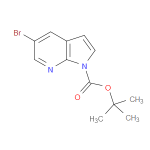 TERT-BUTYL 5-BROMO-1H-PYRROLO[2,3-B]PYRIDINE-1-CARBOXYLATE