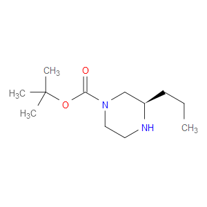 (R)-1-BOC-3-PROPYL-PIPERAZINE