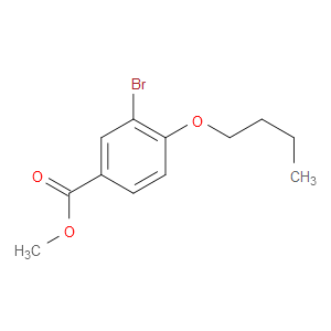 METHYL 3-BROMO-4-BUTOXYBENZOATE